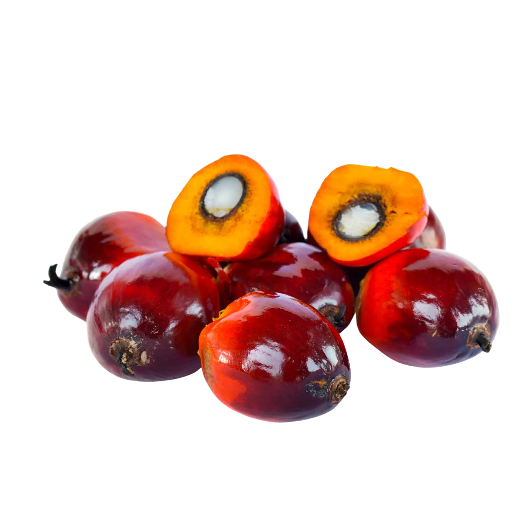 What Is Batana Oil? The Natural Ingredient Behind Healthy, Strong Hair