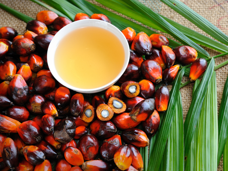 Why Cold-Pressed Oils Are Better for Hair: The Science Behind It